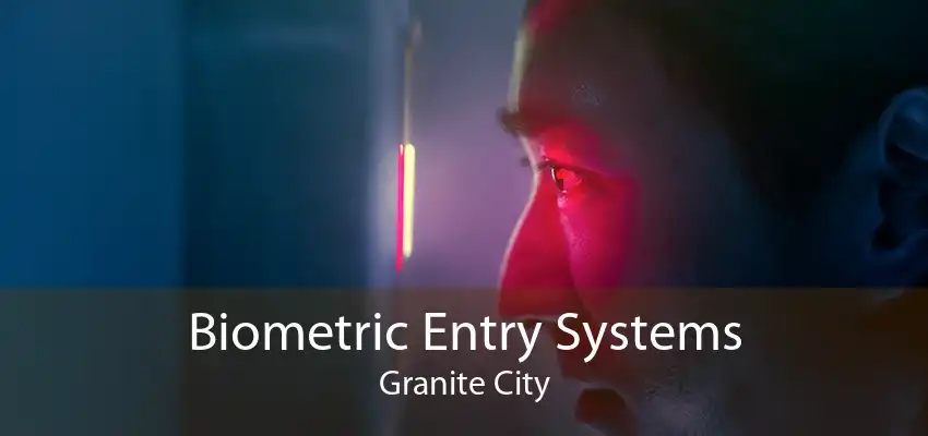 Biometric Entry Systems Granite City
